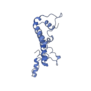 30637_7dco_N_v1-0
Cryo-EM structure of the activated spliceosome (Bact complex) at an atomic resolution of 2.5 angstrom