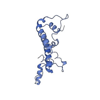 30637_7dco_N_v1-1
Cryo-EM structure of the activated spliceosome (Bact complex) at an atomic resolution of 2.5 angstrom
