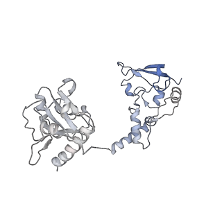30637_7dco_Q_v1-0
Cryo-EM structure of the activated spliceosome (Bact complex) at an atomic resolution of 2.5 angstrom