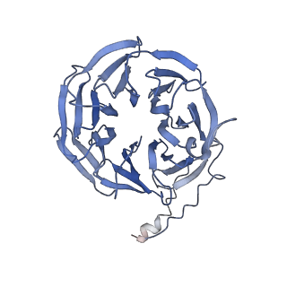 30637_7dco_T_v1-1
Cryo-EM structure of the activated spliceosome (Bact complex) at an atomic resolution of 2.5 angstrom