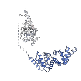 30637_7dco_V_v1-0
Cryo-EM structure of the activated spliceosome (Bact complex) at an atomic resolution of 2.5 angstrom