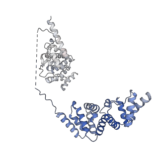 30637_7dco_V_v1-1
Cryo-EM structure of the activated spliceosome (Bact complex) at an atomic resolution of 2.5 angstrom