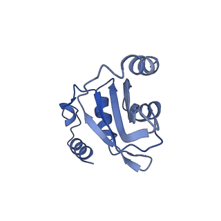 30637_7dco_X_v1-0
Cryo-EM structure of the activated spliceosome (Bact complex) at an atomic resolution of 2.5 angstrom