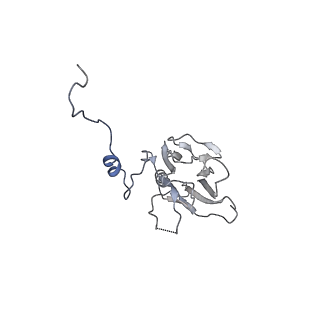 30637_7dco_Y_v1-1
Cryo-EM structure of the activated spliceosome (Bact complex) at an atomic resolution of 2.5 angstrom