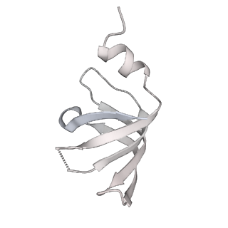 30637_7dco_j_v1-1
Cryo-EM structure of the activated spliceosome (Bact complex) at an atomic resolution of 2.5 angstrom