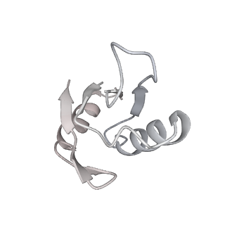 30637_7dco_p_v1-1
Cryo-EM structure of the activated spliceosome (Bact complex) at an atomic resolution of 2.5 angstrom