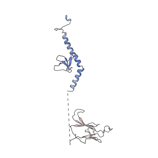 30637_7dco_v_v1-0
Cryo-EM structure of the activated spliceosome (Bact complex) at an atomic resolution of 2.5 angstrom