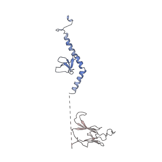 30637_7dco_v_v1-1
Cryo-EM structure of the activated spliceosome (Bact complex) at an atomic resolution of 2.5 angstrom