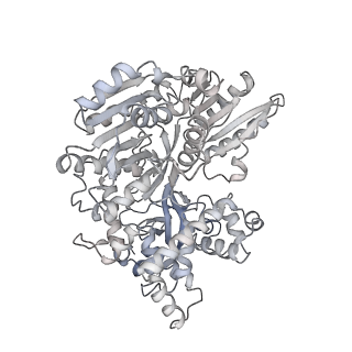 30637_7dco_x_v1-0
Cryo-EM structure of the activated spliceosome (Bact complex) at an atomic resolution of 2.5 angstrom