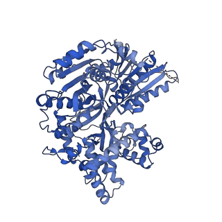 30638_7dcp_x_v1-1
cryo-EM structure of the DEAH-box helicase Prp2 and coactivator Spp2