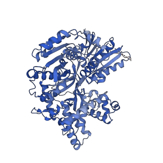 30638_7dcp_x_v1-2
cryo-EM structure of the DEAH-box helicase Prp2 and coactivator Spp2