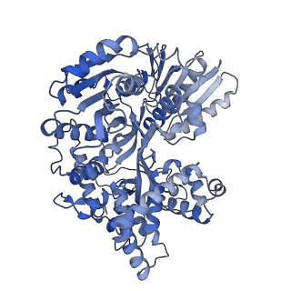 30639_7dcq_x_v1-1
cryo-EM structure of the DEAH-box helicase Prp2