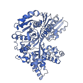 30639_7dcq_x_v1-2
cryo-EM structure of the DEAH-box helicase Prp2