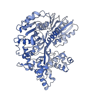 30640_7dcr_x_v1-1
cryo-EM structure of the DEAH-box helicase Prp2 in complex with its coactivator Spp2