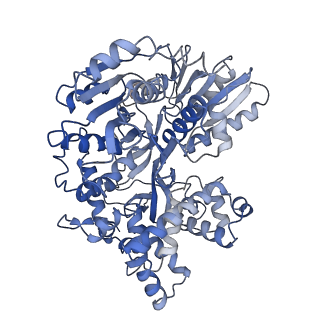 30640_7dcr_x_v1-2
cryo-EM structure of the DEAH-box helicase Prp2 in complex with its coactivator Spp2