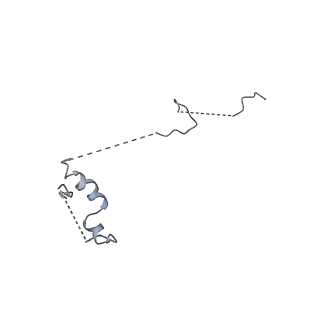 30640_7dcr_y_v1-2
cryo-EM structure of the DEAH-box helicase Prp2 in complex with its coactivator Spp2