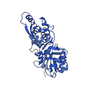 27331_8dd0_A_v1-1
The structure of the native cardiac thin filament junction region