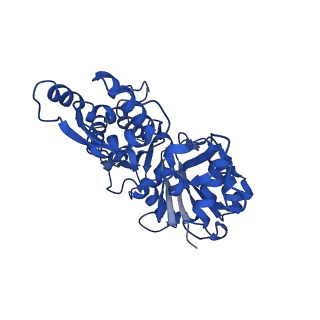 27331_8dd0_C_v1-1
The structure of the native cardiac thin filament junction region