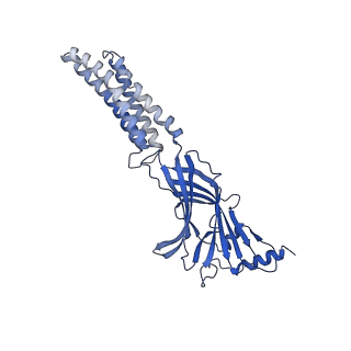 27332_8dd2_A_v1-0
Human GABAA receptor alpha1-beta2-gamma2 subtype in complex with GABA plus Zolpidem