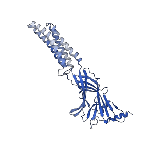 27332_8dd2_A_v2-0
Human GABAA receptor alpha1-beta2-gamma2 subtype in complex with GABA plus Zolpidem