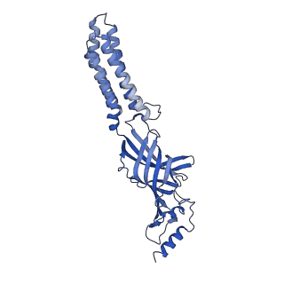 27332_8dd2_C_v1-0
Human GABAA receptor alpha1-beta2-gamma2 subtype in complex with GABA plus Zolpidem