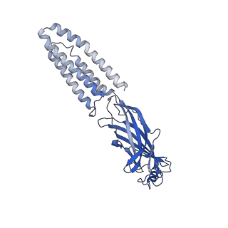 27332_8dd2_E_v1-0
Human GABAA receptor alpha1-beta2-gamma2 subtype in complex with GABA plus Zolpidem