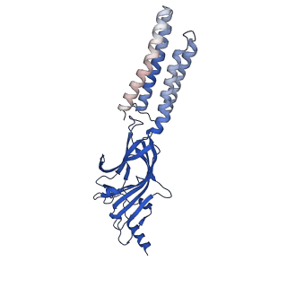 27333_8dd3_A_v1-0
Human GABAA receptor alpha1-beta2-gamma2 subtype in complex with GABA plus DMCM