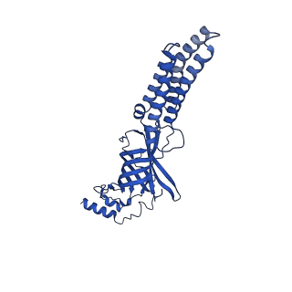 27333_8dd3_C_v1-0
Human GABAA receptor alpha1-beta2-gamma2 subtype in complex with GABA plus DMCM