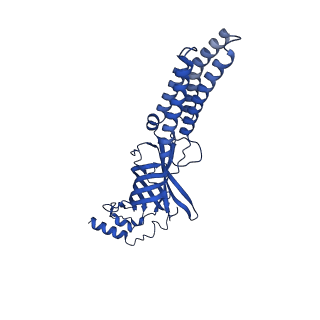 27333_8dd3_C_v2-0
Human GABAA receptor alpha1-beta2-gamma2 subtype in complex with GABA plus DMCM
