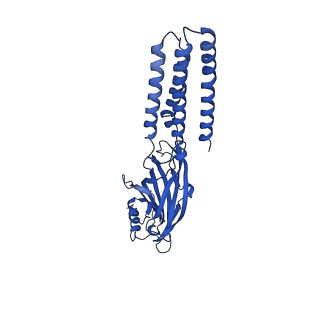 27333_8dd3_D_v1-0
Human GABAA receptor alpha1-beta2-gamma2 subtype in complex with GABA plus DMCM
