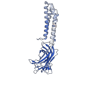 27333_8dd3_E_v1-0
Human GABAA receptor alpha1-beta2-gamma2 subtype in complex with GABA plus DMCM
