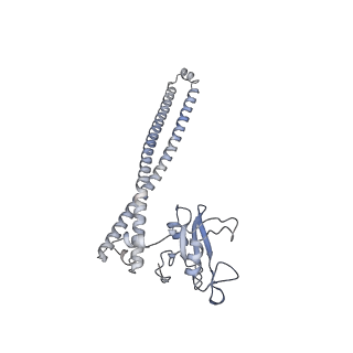 27334_8dd4_B_v1-0
PI 3-kinase alpha with nanobody 3-142