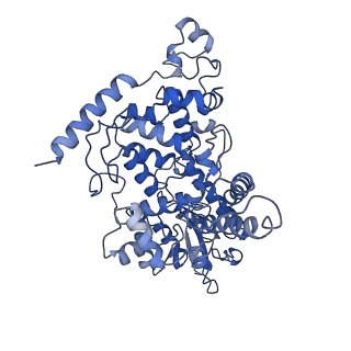 27335_8dd7_A_v1-3
The Cryo-EM structure of Drosophila Cryptochrome in complex with Timeless