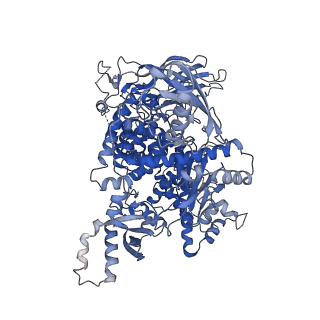 27336_8dd8_A_v1-0
PI 3-kinase alpha with nanobody 3-142, crosslinked with DSG