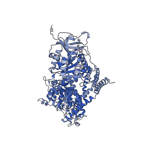 27338_8ddq_A_v1-2
cryo-EM structure of TRPM3 ion channel in the presence of soluble Gbg, focused on channel