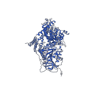 27338_8ddq_C_v1-2
cryo-EM structure of TRPM3 ion channel in the presence of soluble Gbg, focused on channel