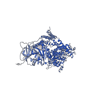 27338_8ddq_D_v1-2
cryo-EM structure of TRPM3 ion channel in the presence of soluble Gbg, focused on channel