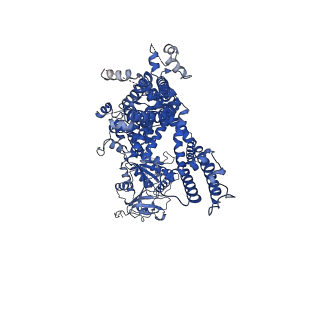 27339_8ddr_A_v1-2
cryo-EM structure of TRPM3 ion channel in the absence of PIP2