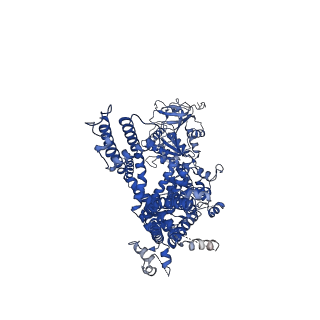 27339_8ddr_C_v1-2
cryo-EM structure of TRPM3 ion channel in the absence of PIP2