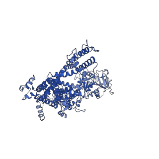 27340_8dds_D_v1-2
cryo-EM structure of TRPM3 ion channel in the presence of PIP2, state1