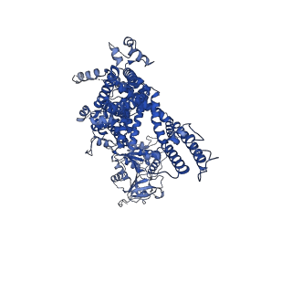 27341_8ddt_C_v1-2
cryo-EM structure of TRPM3 ion channel in the presence of PIP2, state2