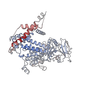 27344_8ddw_B_v1-2
cryo-EM structure of TRPM3 ion channel in complex with Gbg, tethered by ALFA-nanobody