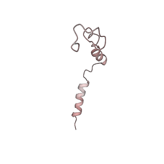 27344_8ddw_J_v1-2
cryo-EM structure of TRPM3 ion channel in complex with Gbg, tethered by ALFA-nanobody