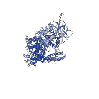 27345_8ddx_A_v1-2
cryo-EM structure of TRPM3 ion channel in complex with Gbg in the presence of PIP2, tethered by ALFA-nanobody