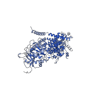 27345_8ddx_C_v1-2
cryo-EM structure of TRPM3 ion channel in complex with Gbg in the presence of PIP2, tethered by ALFA-nanobody