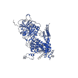 27345_8ddx_D_v1-2
cryo-EM structure of TRPM3 ion channel in complex with Gbg in the presence of PIP2, tethered by ALFA-nanobody