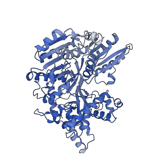 30643_7dd3_x_v1-1
Cryo-EM structure of the pre-mRNA-loaded DEAH-box ATPase/helicase Prp2 in complex with Spp2