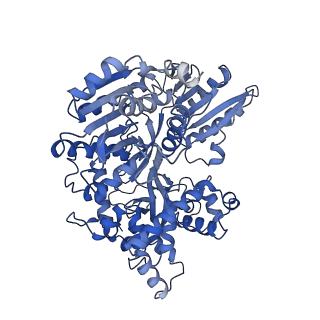 30643_7dd3_x_v1-2
Cryo-EM structure of the pre-mRNA-loaded DEAH-box ATPase/helicase Prp2 in complex with Spp2