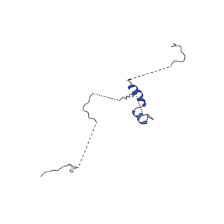 30643_7dd3_y_v1-2
Cryo-EM structure of the pre-mRNA-loaded DEAH-box ATPase/helicase Prp2 in complex with Spp2