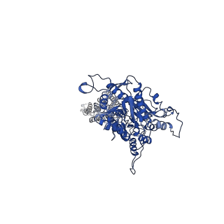 30644_7dd5_A_v1-1
Structure of Calcium-Sensing Receptor in complex with NPS-2143
